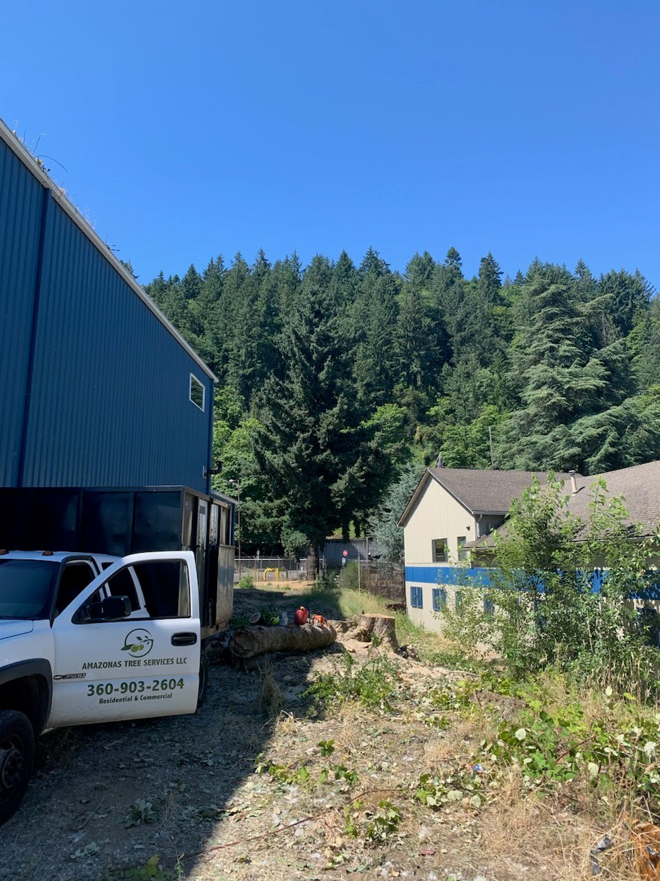 Amazonas Tree Services Image